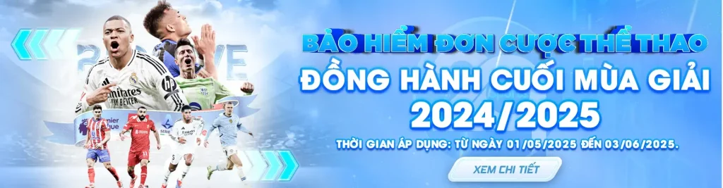 Bảo hiểm đơn cược tại 2Q com